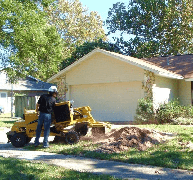 Residential Tree Services