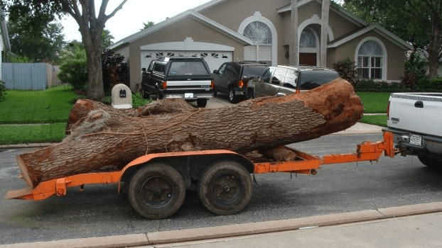 Residential Tree Services