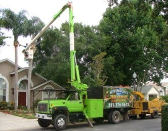 Tree Services