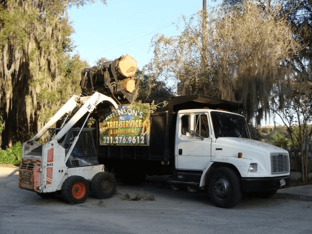 Tree Service