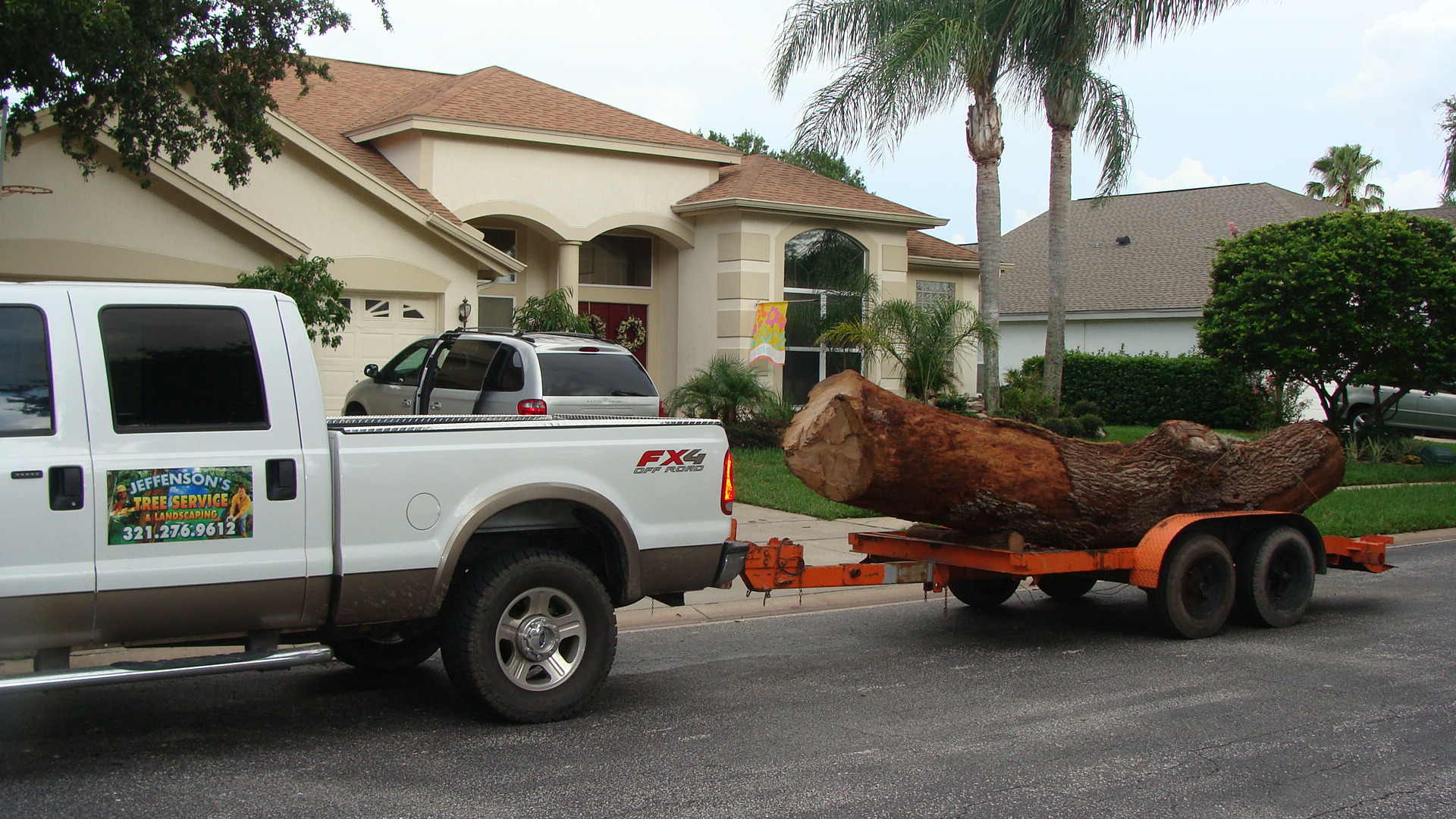 Tree Services